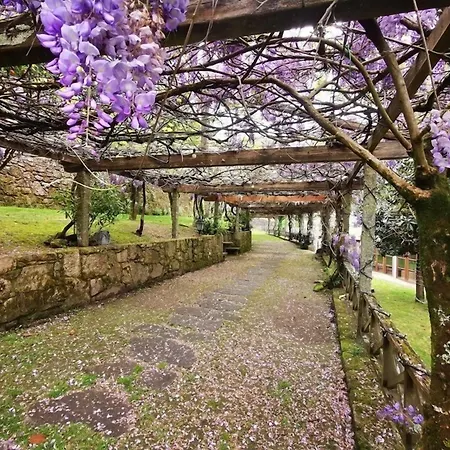 Pazo De Adrán Milladoiro